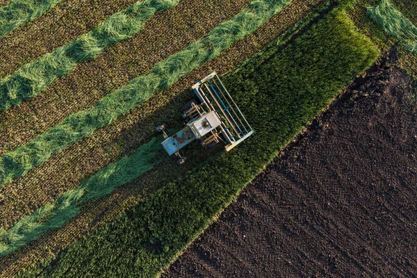 Luchtfoto van oogstvelden met combinatie — Stockfoto