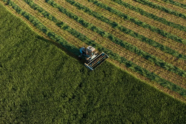 Luchtfoto van oogstvelden met combinatie — Stockfoto