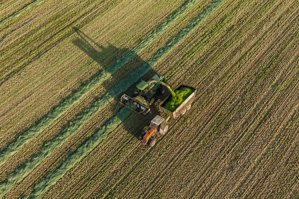 Vista aérea de los campos de cosecha con combinación — Foto de Stock