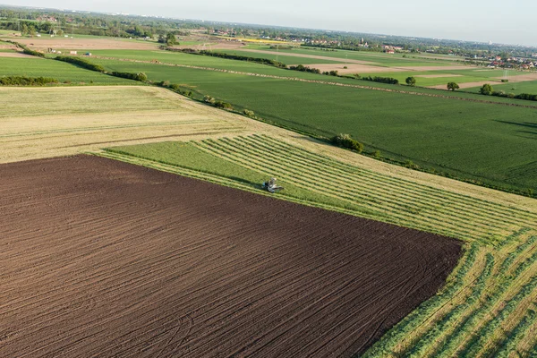 Luchtfoto van oogstvelden met combinatie — Stockfoto