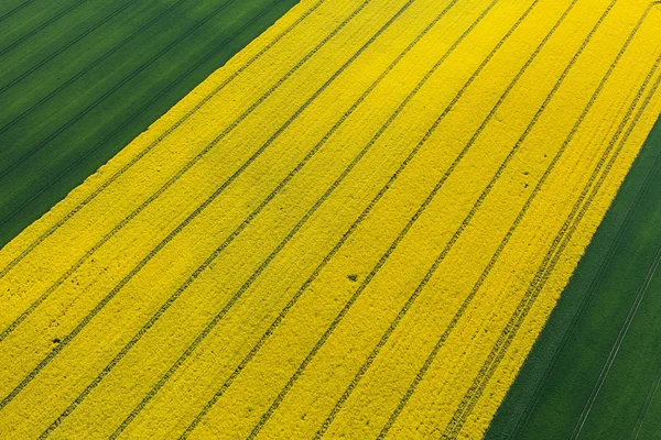 Aerial view of harvest fields — Stock Photo, Image