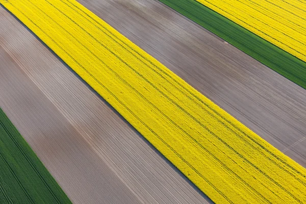 Luchtfoto van oogst velden — Stockfoto