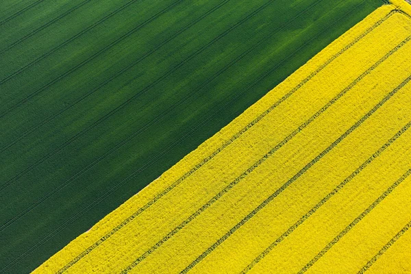 Flygfoto över skörden fält — Stockfoto