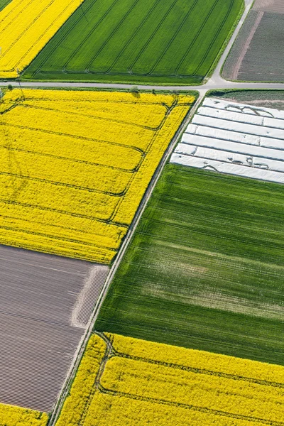 Vista aérea dos campos de colheita — Fotografia de Stock