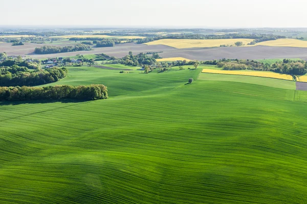 Vista aérea dos campos de colheita amarelos — Fotografia de Stock