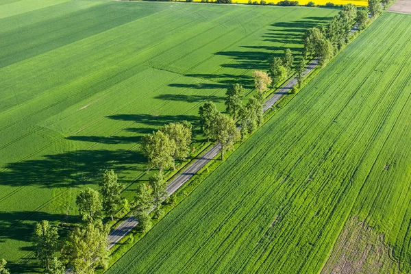 Luchtfoto van weg en groene oogst velden — Stockfoto