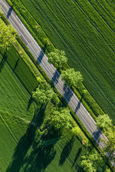 Aerial view of  village road and green harvest fields — Stock Photo, Image