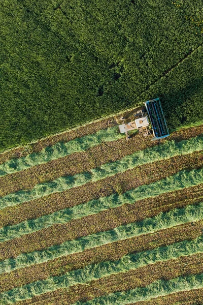 Vista aérea de los campos de cosecha con cosechadora antigua —  Fotos de Stock