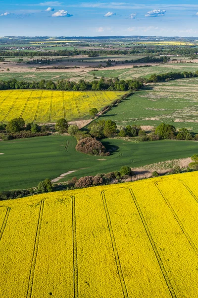 Luchtfoto van oogst velden en blauwe hemel in de buurt van Wroclaw stad — Stockfoto