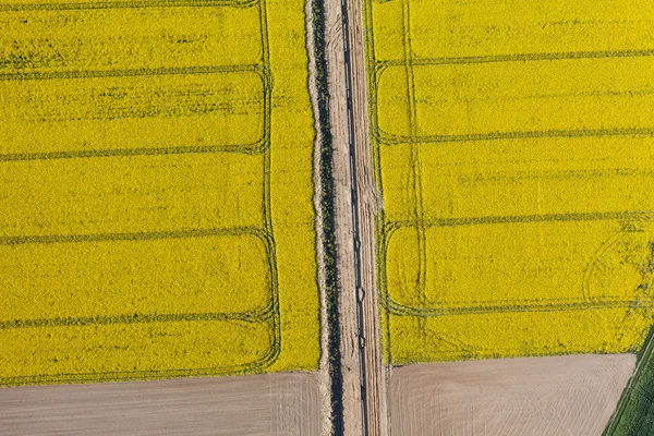 Luchtfoto van de gasleiding begraven in een land oogst velden zijn — Stockfoto