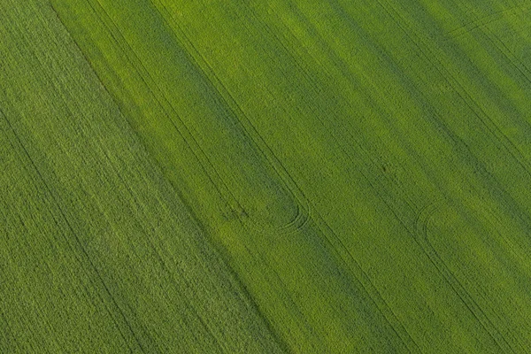 Vista aérea dos campos de colheita — Fotografia de Stock