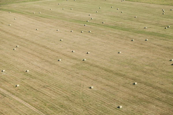 Vista aérea de fardos de heno en el campo de cosecha — Foto de Stock