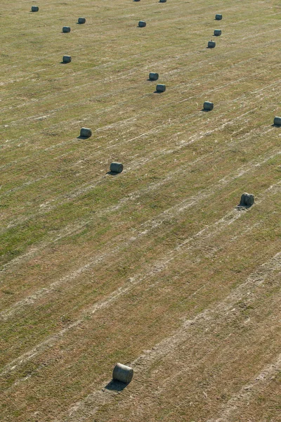 Vista aérea de fardos de heno en el campo de cosecha — Foto de Stock