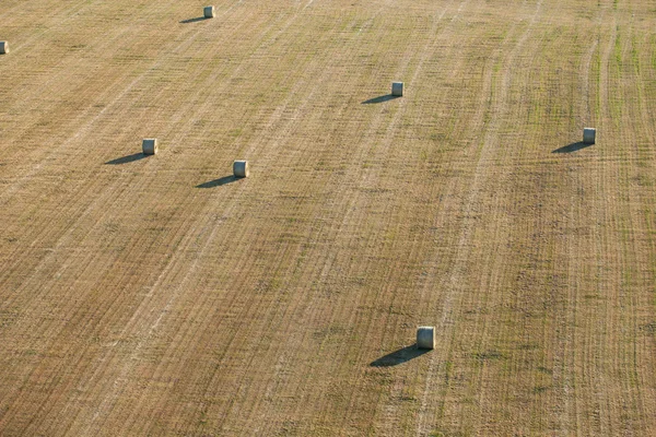 Balíky sena na poli sklizeň — Stock fotografie