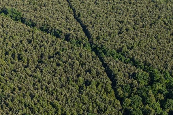 Vista aérea del bosque —  Fotos de Stock