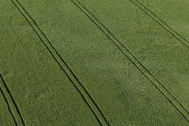 hasat alanlarının havadan görünümü