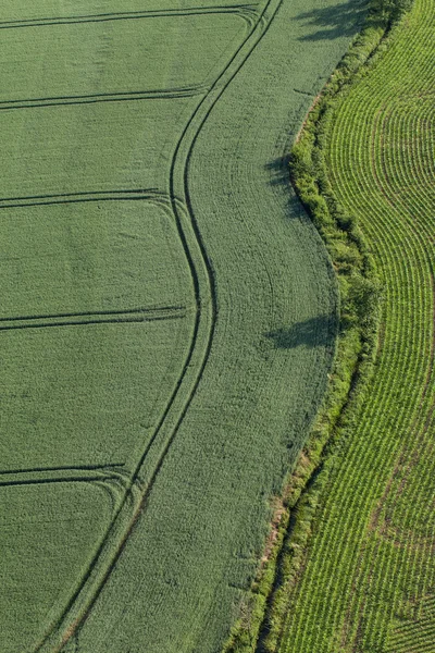 収穫の畑の航空写真 — ストック写真