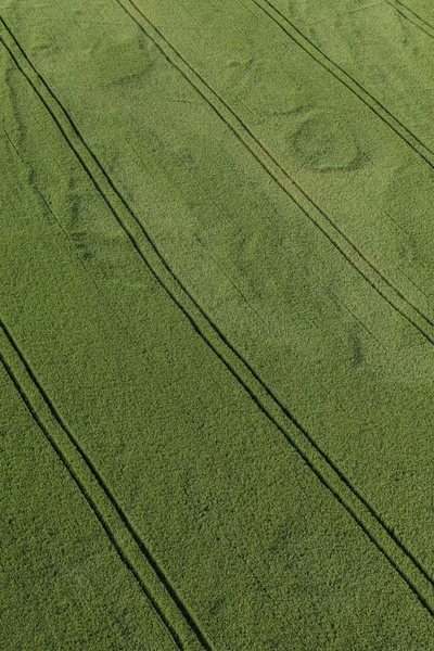 Vista aérea dos campos de colheita — Fotografia de Stock