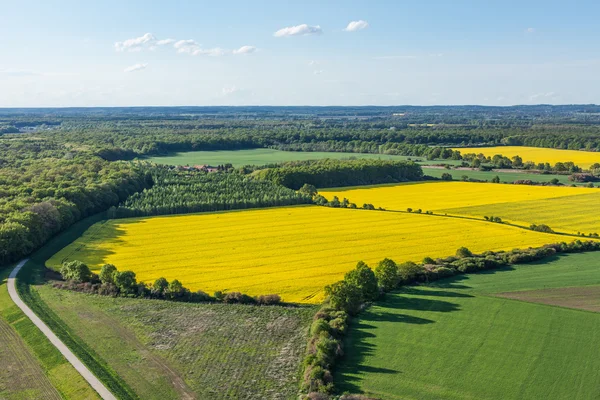 Luchtfoto van gele oogst velden — Stockfoto