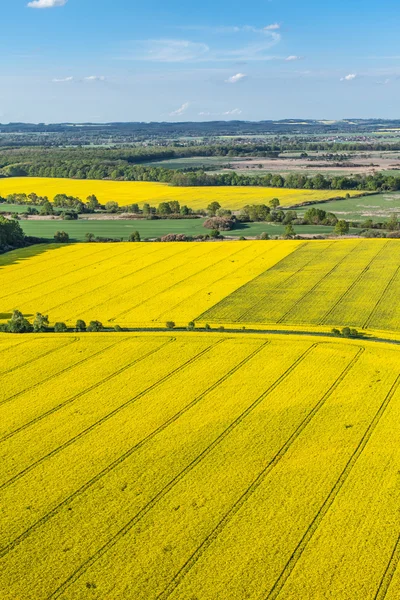 Vista aérea dos campos de colheita amarelos — Fotografia de Stock