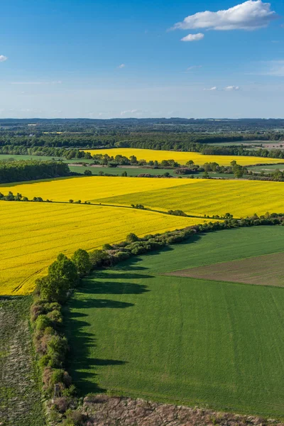 Vista aerea dei campi di raccolta gialli — Foto Stock
