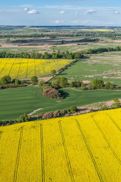 Vista aérea dos campos de colheita — Fotografia de Stock