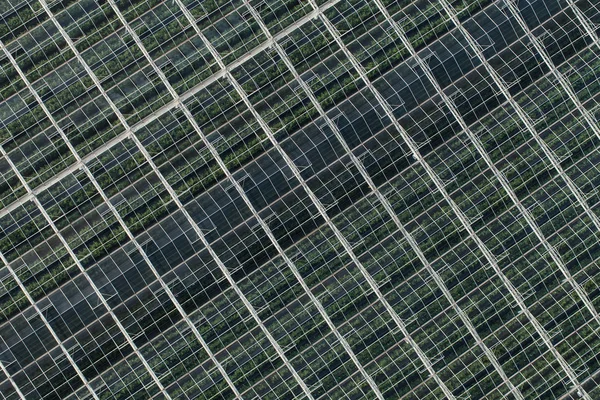 Aerial view of greenhouses — Stock Photo, Image