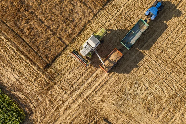 収穫のフィールドのコンバインの空中写真 — ストック写真