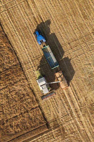 Aerial view of the combine on harvest field — Stock Photo, Image