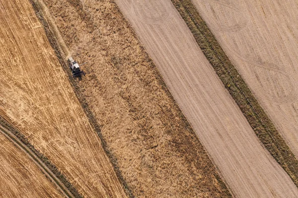 Aerial view of combine on the harvest field — Stock Photo, Image