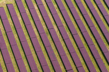 Güneş enerjisi Santrali havadan görünümü