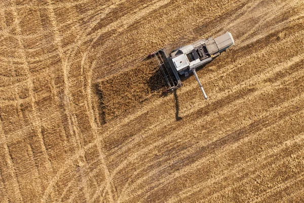 Aerial view of combine on the harvest field — Stock Photo, Image