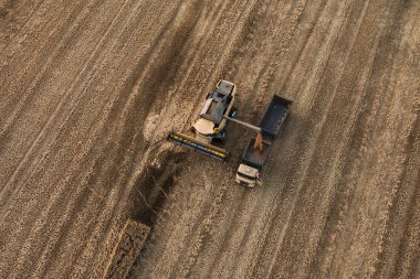 traktör ile hasat alanları
