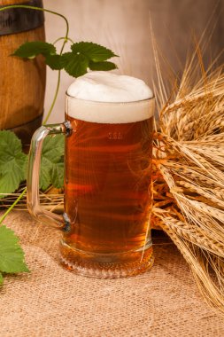 Bardak light bira ve sivri arpa