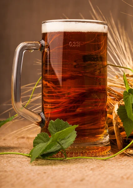 Glas leichtes Bier und Ähren von Gerste — Stockfoto