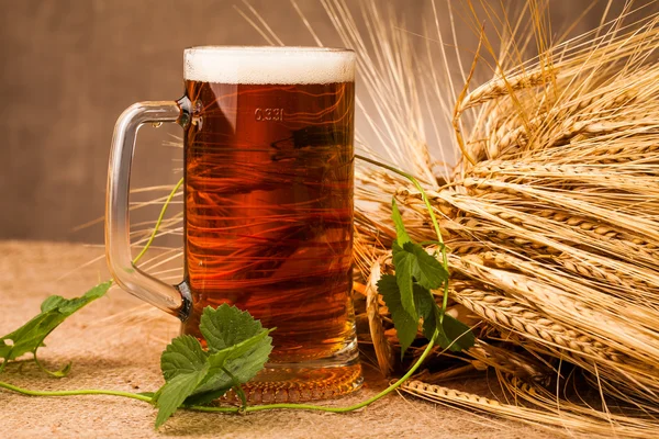 Glass of light beer and spikes of barley — Stock Photo, Image