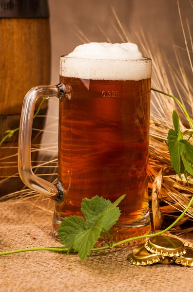 Glas leichtes Bier und Ähren von Gerste — Stockfoto