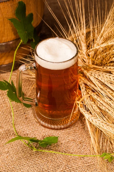 Copo de cerveja leve e espigas de cevada — Fotografia de Stock