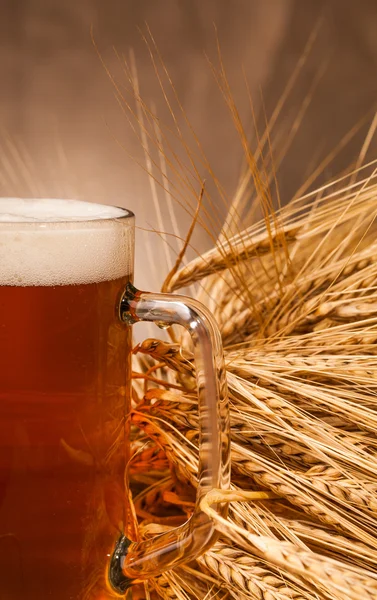 Glass of light beer and spikes of barley — Stock Photo, Image