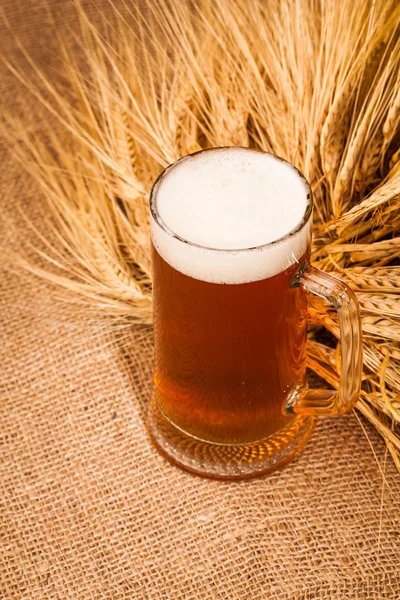 Glass of light beer and spikes of barley — Stock Photo, Image