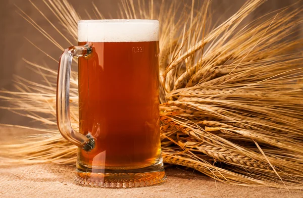 Glas leichtes Bier und Ähren von Gerste — Stockfoto