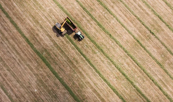 Воздушный обзор поля для сбора урожая с трактором и комбайном — стоковое фото