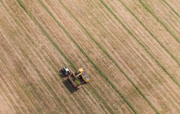 aerial view of harvest field with tractor and combine