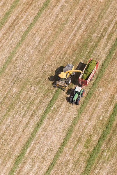 Vista aérea do campo de colheita com trator e combinar — Fotografia de Stock