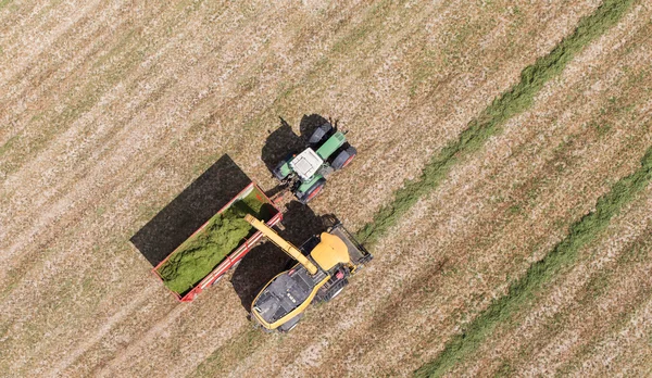 Traktör ve birleştirmek ile hasat alanının havadan görünümü — Stok fotoğraf