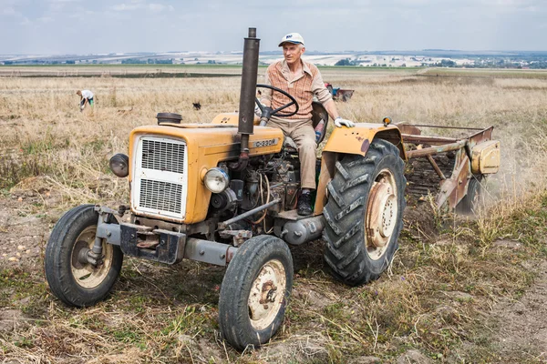 Старий трактор на полі врожаю — стокове фото