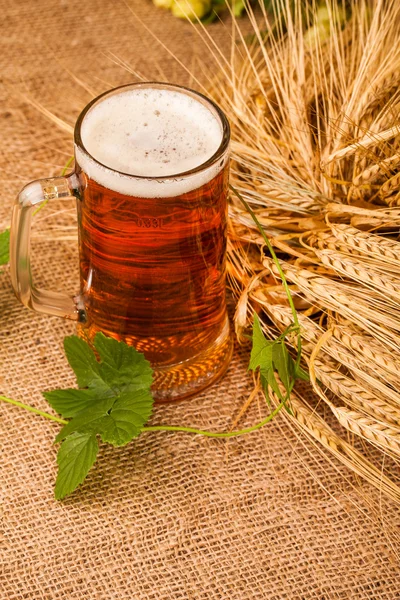 Glass of light beer and spikes of barley — Stock Photo, Image