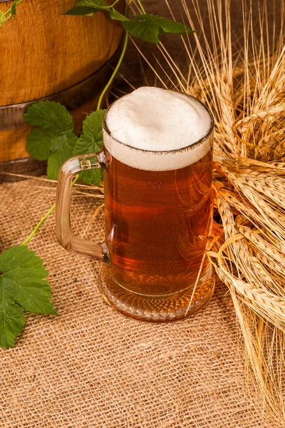 軽めのビールと麦の穂のガラス — ストック写真