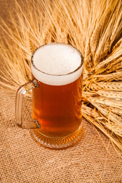 Glass of light beer and spikes of barley — Stock Photo, Image