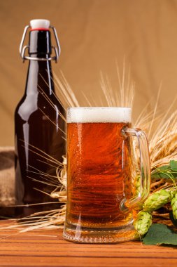 Bardak light bira ve sivri arpa